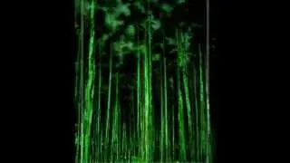 The Cure - A Forest