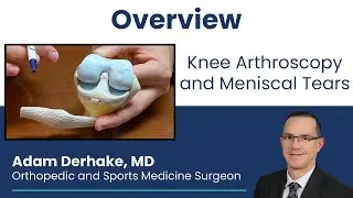 Knee Arthroscopy and Meniscal Tears: Overview