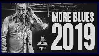 MORE BLUES 2019  Part One - Zottegem - Vrijdag 31 Mei