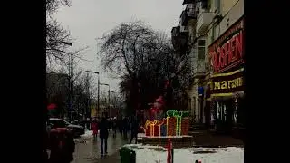 Красные слезы дерева 2