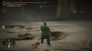 ELDEN RING DLC - Leda's Swords (ng+7)