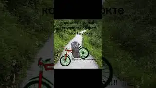 как содрал кожу