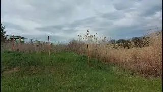 Анадольский ставок