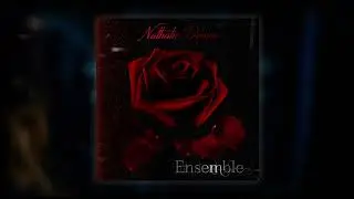 Nathalie Donice - Ensemble (Official Visualizer)