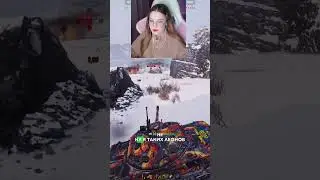 Это не подставные, честно 