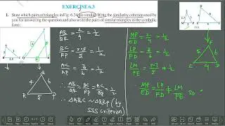 CLASS 10 CBSE MATHS Ex 6.3 (1 i to v )