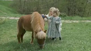 Lovely animal my first Welcome video