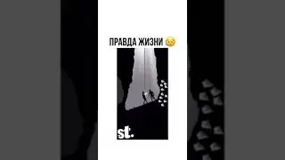 Правда жизни Жизненная правда Жизнь как она есть