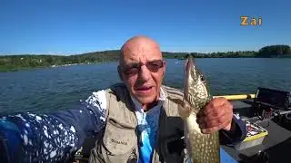 Окунь, судак и щука на спиннинг Ronin Rush - Sonic