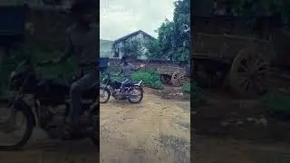 Tik Tok Comedy Videos