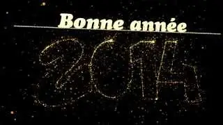 Voeux 2014 (New Year) - After effects