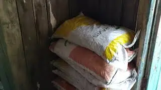 Мы с углём!