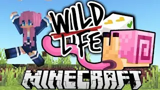 The Snail .....🐌 | Ep. 3 | Wild Life