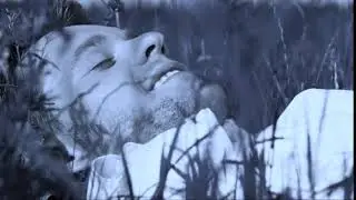 Александр Смирнов "ГУСАР": "Июльский день. Овраг. Криница."