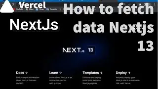 How to fetch data in NextJs 13 || Quick guide for beginners 