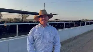 Brenton Watterson - ALFA Young Lot Feeder 2024 Grand Finalist