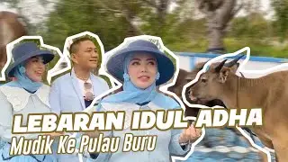 ALESAN BELI DAN POTONG 26 SAPI DI PULAU BURU BAWAAN BAYI???