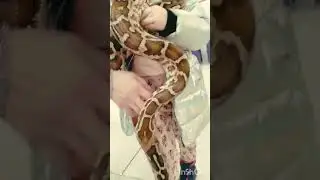 #буднивикулькималенькой #нетстраха