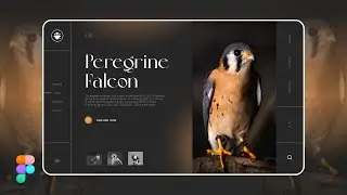 Wildlife Web UI Design in Figma || Design a creative website || Figma tutorials