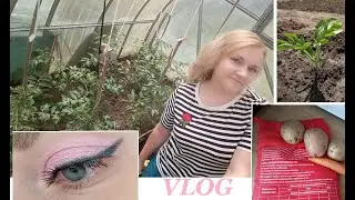 Vlog Заказ Ozon.ru/Тест драйв теней/Запекаю овощи/Дела огородные 