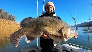1m+ Murray Cod - MONSTER Lake Eildon Murray Cod - Fishing Australia