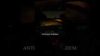 PÁSSAROS DA NOITE - My Summer Car 