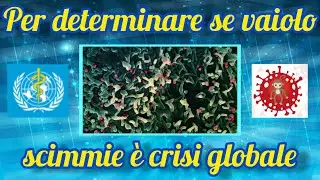 Il 22 Novembre 2024 si terrà una riunione d'emergenza dell'OMS!