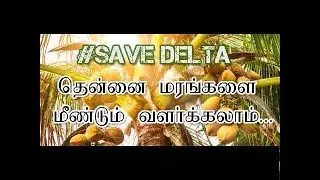 வேரோடு விழுந்த தென்னை மரங்களை மீண்டும் வளர்க்கலாம்!!