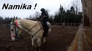 Les ecuries Namika