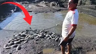 SEQUEI O POÇO DA LAGOA, TINHA MUITO PEIXE GRANDE