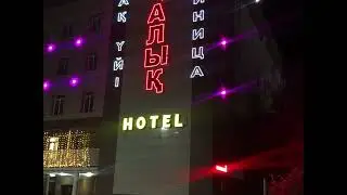 Охота на гуся. Аркалык.
