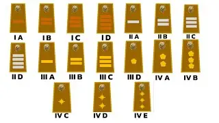 All Civil Servant Ranks Explained in 12 Minutes