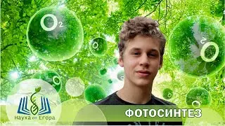 Фотосинтез