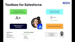 SalesWings Toolbox for Salesforce Marketing, Sales and Data Operations