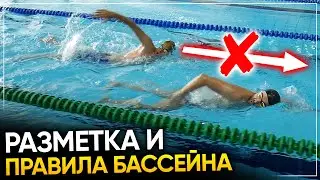 Разметка и правила бассейна - ВАЖНО ЗНАТЬ ВСЕМ!