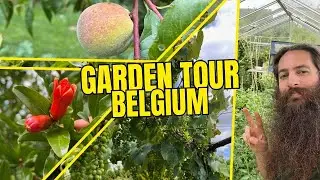 Exploring a Unique Belgian Garden (USDA Zone 8a) and Experimenting with Tropical Plants