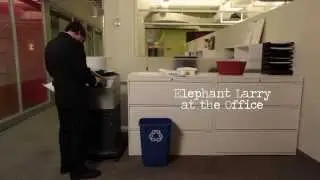 Human Workplace Scenario