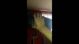 COMO JUGAR MINECRAFT DE XBOX CON SOLO TECLADO SIN MOUSE NI CONTROL DE XBOX (video antiguo)