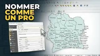 J'ai maîtrisé la nomination des entités dans QGIS et vous le pouvez aussi !
