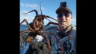 Sharks And Lobsters Hawaii Fishing Adventures