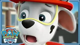 パウ・パトロールのレース | パウ・パトロール公式