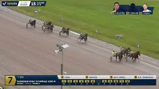 Pikkupelimanni 2024 - Caru