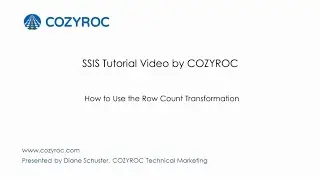 How to Use the Row Count Transformation. SSIS tutorial videos by COZYROC