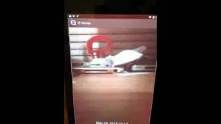 PI Camera App demo