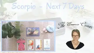 SCORPIO - Next 7 Days - Timeless Tarot Reading