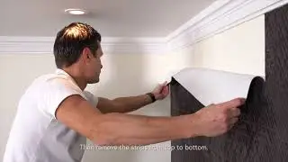 Removing wallpaper with Arte Easypro