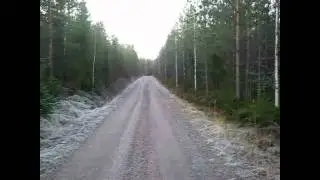 Beagle ja pentu ikä 7kk Vs metsäjänis 100m spurtti REMIX