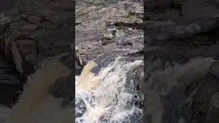 #nature