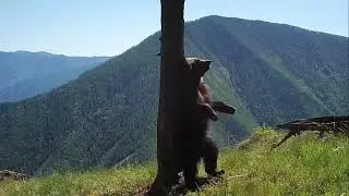 Где-то на белом свете...