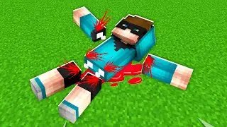 EFE'nin KEMİĞİ KIRILDI 🦴 -Minecraft